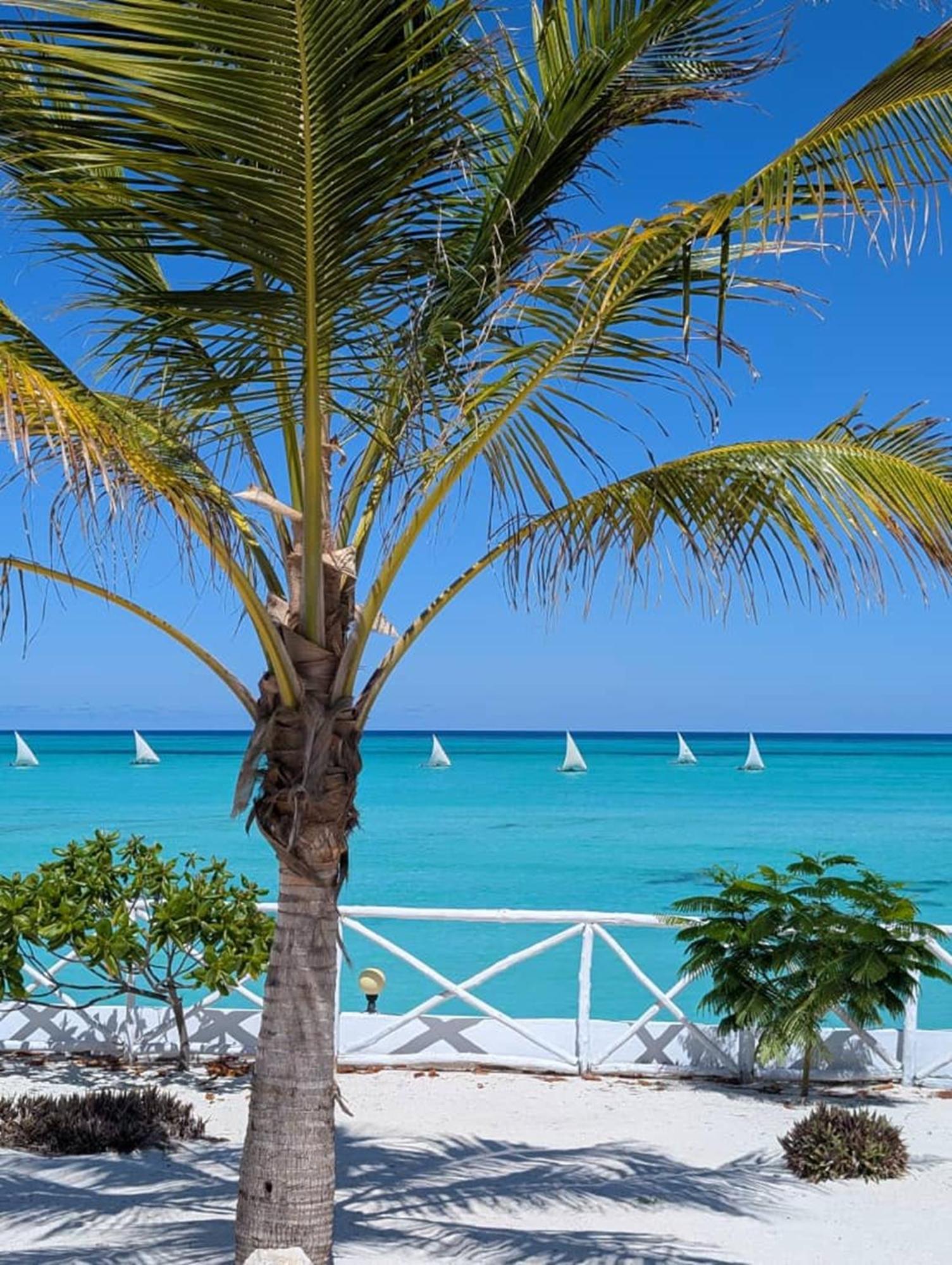 Raffia Beach Aparthotel Jambiani  Exterior foto